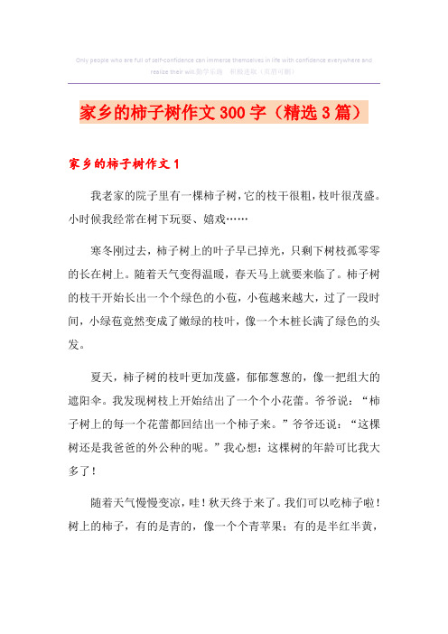 家乡的柿子树作文300字(精选3篇)