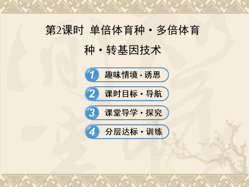 【课时讲练通】-高中生物 4.2.2单倍体育种 多倍体育种 转基因技术课件 浙科版必修2