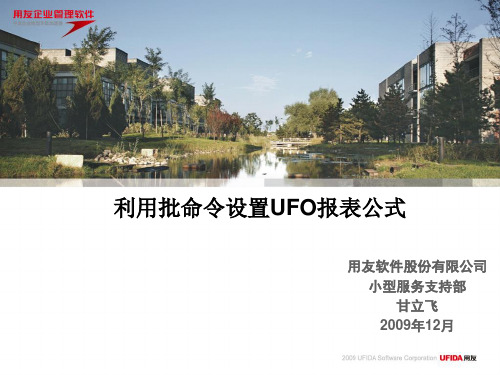 UFO报表—利用批命令设置UFO报表公式