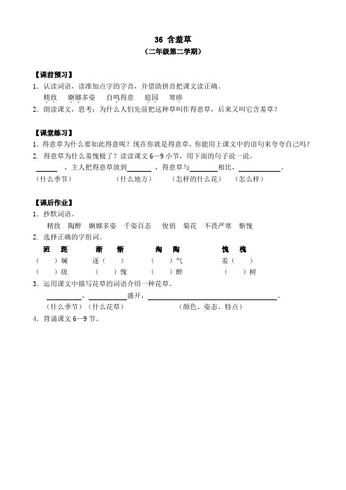 36含羞草作业