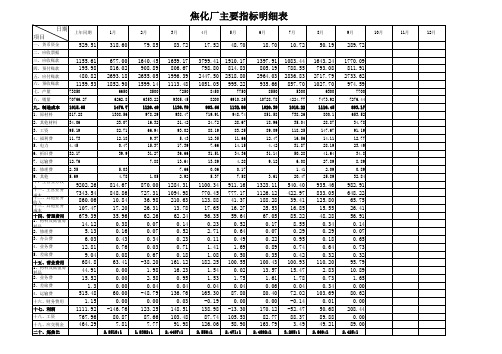 焦化厂主要财务指标