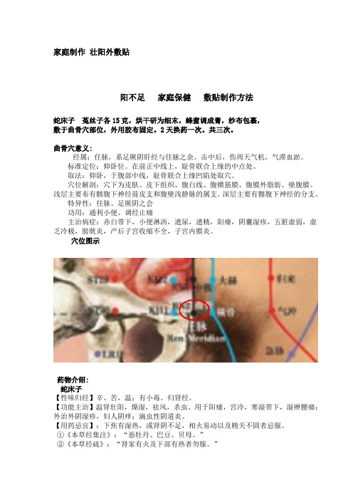 家庭制作 壮阳外敷贴