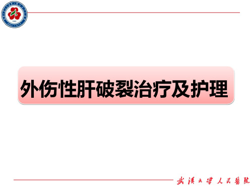 外伤性肝破裂护理查房