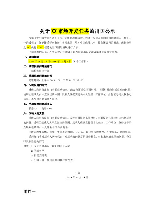 模板-某人赴某国团组 因公出国公示材料