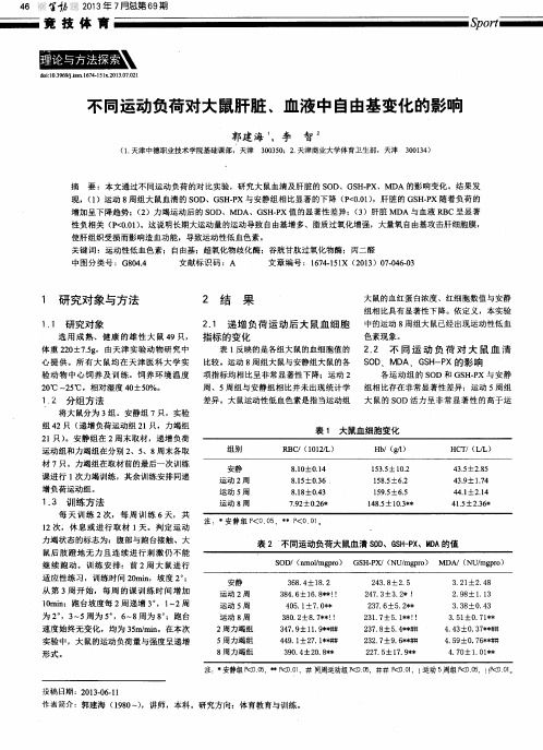 不同运动负荷对大鼠肝脏、血液中自由基变化的影响