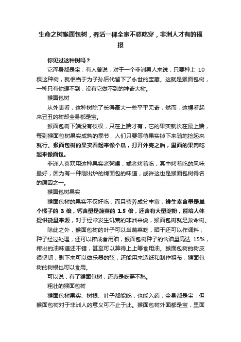 生命之树猴面包树，养活一棵全家不愁吃穿，非洲人才有的福报