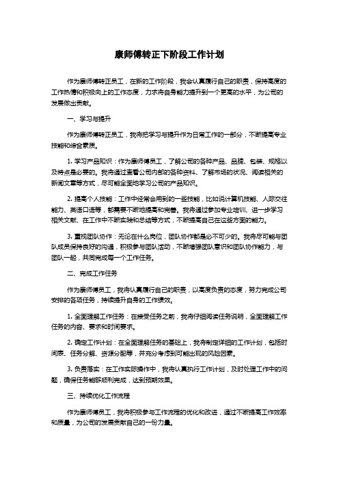 康师傅转正下阶段工作计划