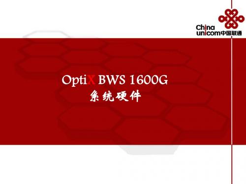 02 OptiX BWS 1600G 系统硬件