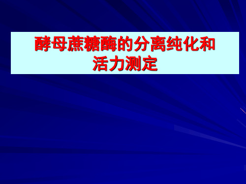 蔗糖酶分离纯化与活力测定