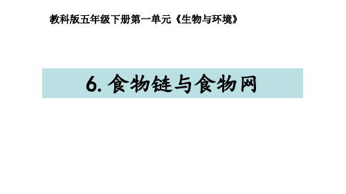 小学科学课件：《食物链与食物网》