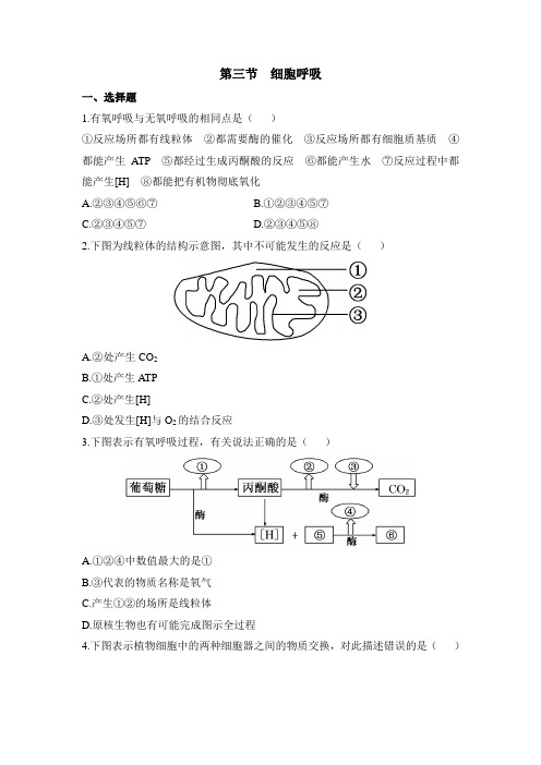 苏教版高中生物必修1 4.3《细胞呼吸》课时训练