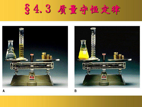 粤教初中化学九上《4.3 质量守恒定律》PPT课件 (7篇供参考)