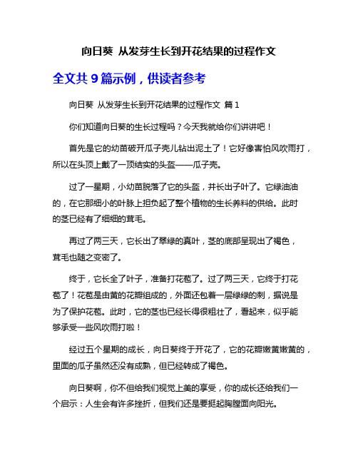 向日葵 从发芽生长到开花结果的过程作文