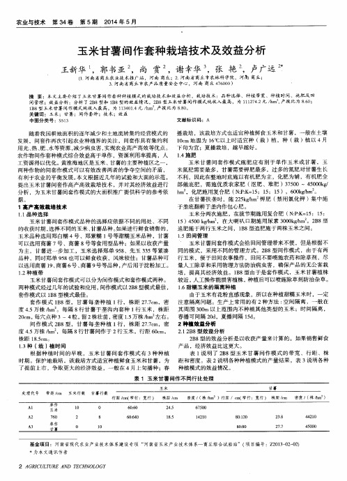 玉米甘薯间作套种栽培技术及效益分析