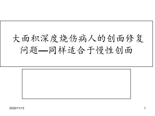 大面积烧伤深度烧伤 ppt课件