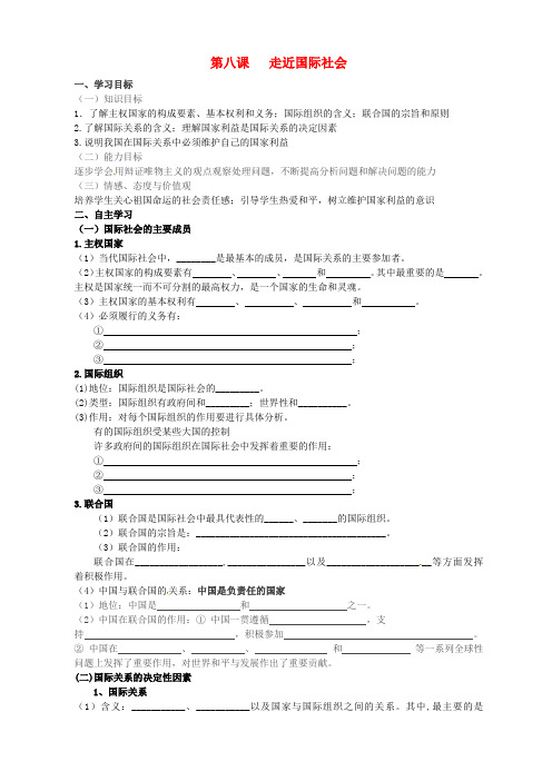 高中政治 4.8走近国际社会学案新人教版必修2