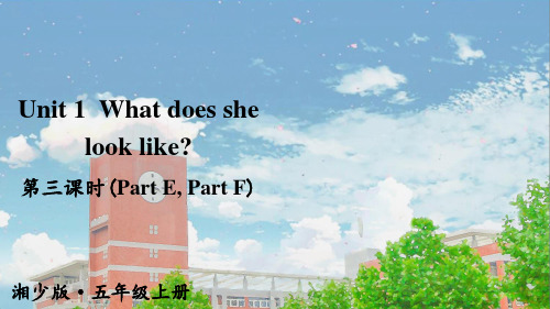 湘少版五年级英语Unit 1  What does she look like Part E F课件