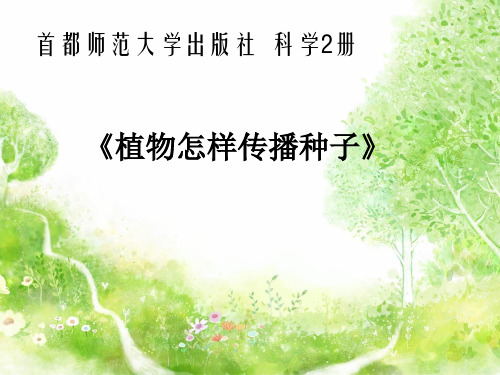 首都师大版小学科学12.植物怎样传播种子课件