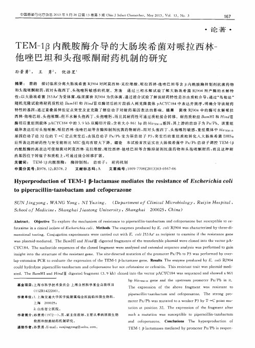 TEM-1β内酰胺酶介导的大肠埃希菌对哌拉西林-他唑巴坦和头孢哌酮耐药机制的研究