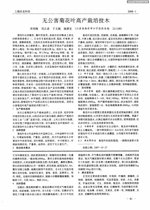 无公害菊花叶高产栽培技术