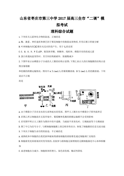 山东省枣庄市第三中学2017届高三全市“二调”模拟考试理科综合试题 Word版含答案