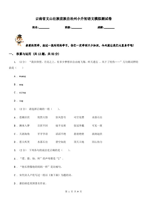 云南省文山壮族苗族自治州小升初语文模拟测试卷