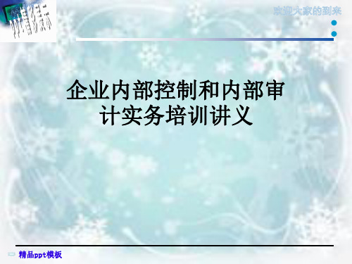 企业内部控制和内部审计实务培训讲义