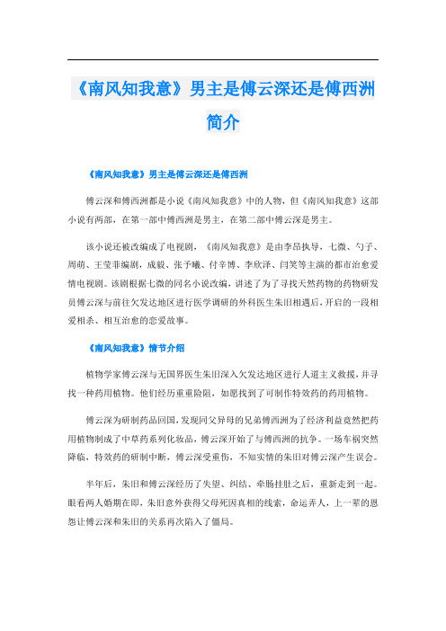 《南风知我意》男主是傅云深还是傅西洲简介