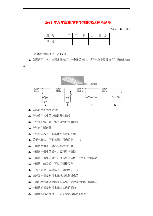 2018年九年级物理下学期期末达标检测卷(含解析)