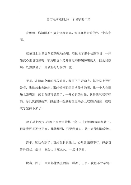 努力是奇迹的,另一个名字的作文