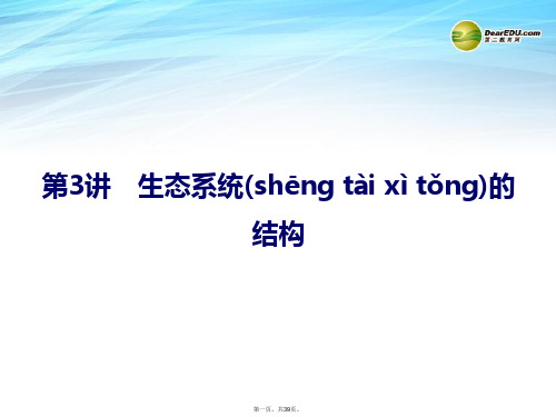 高考生物总复习 323 生态系统的结构课件