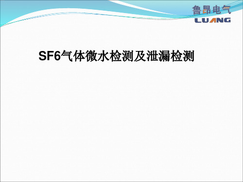 SF6气体微水检测及泄漏检测