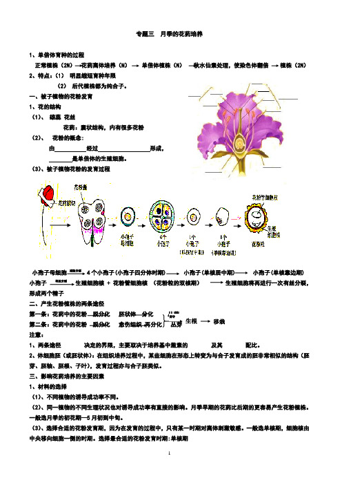 2  月季的花药培养导学案