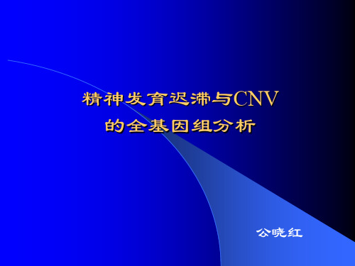 精神发育迟滞与CNV的全基因组_5_26