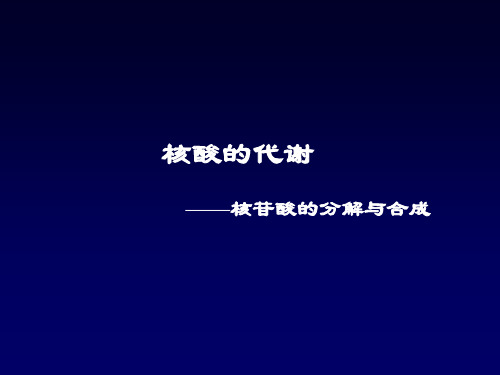 核酸的代谢