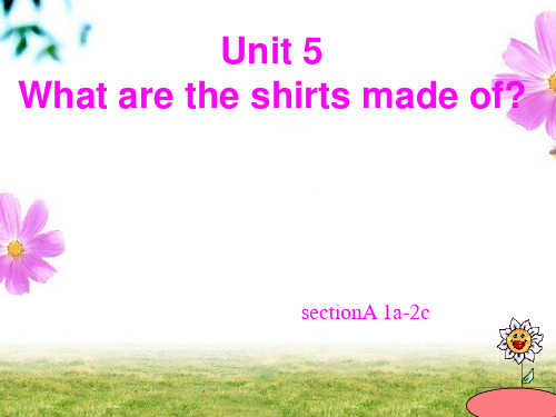人教九年级Unit6SectionA 1a-2c (23张幻灯片)