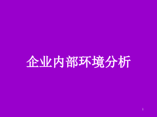 企业内部环境分析(PPT 39页)