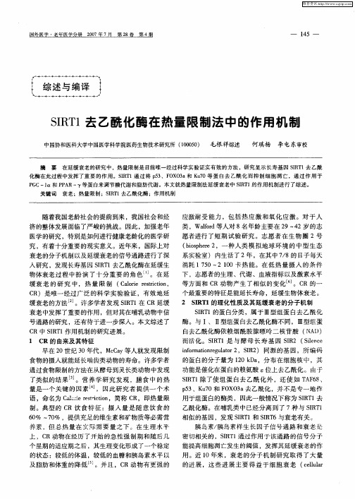 SIRT1去乙酰化酶在热量限制法中的作用机制