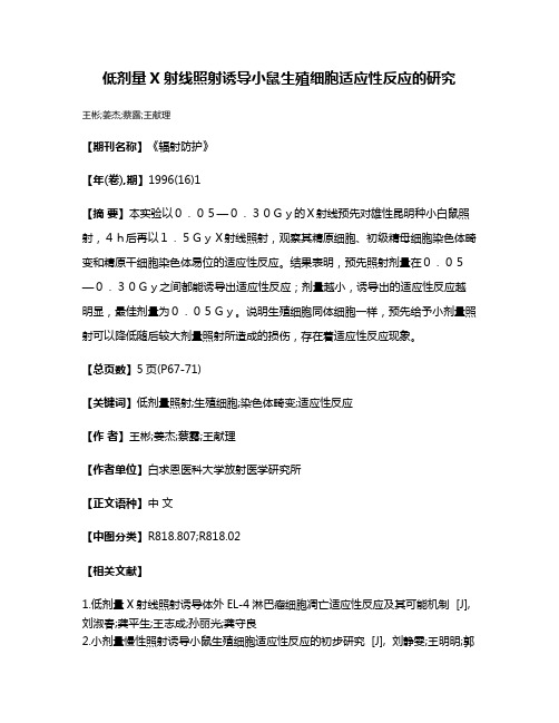 低剂量X射线照射诱导小鼠生殖细胞适应性反应的研究