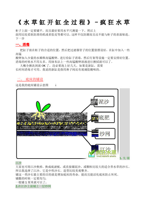 水草造景缸开缸全过程