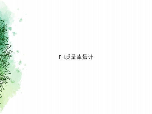 EH质量流量计讲课文档