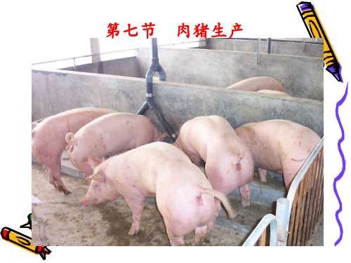 第七节 肉猪生产