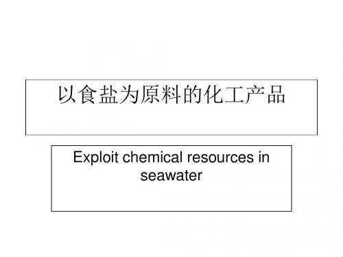 以食盐为原料的化工产品PPT课件1 沪教版