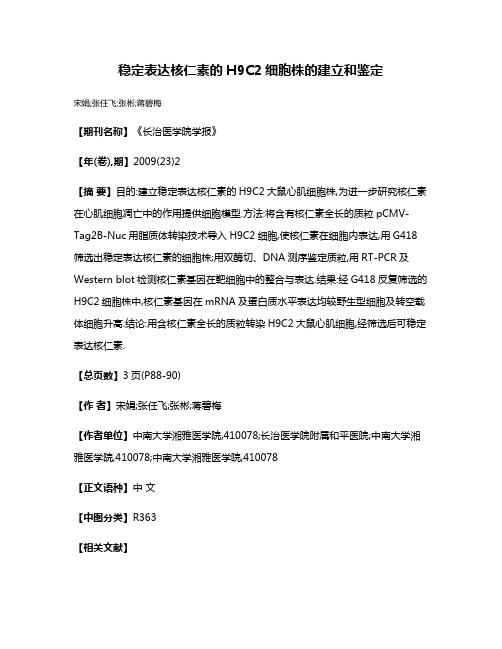 稳定表达核仁素的H9C2细胞株的建立和鉴定