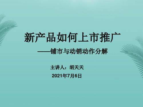 新产品如何上市推广最全ppt文档