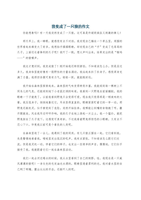 我变成了一只狼的作文