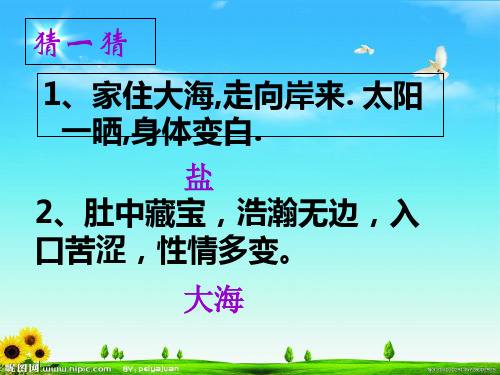 六年级上册科学课件1 蔚蓝色的宝库冀教版 (共16页)PPT