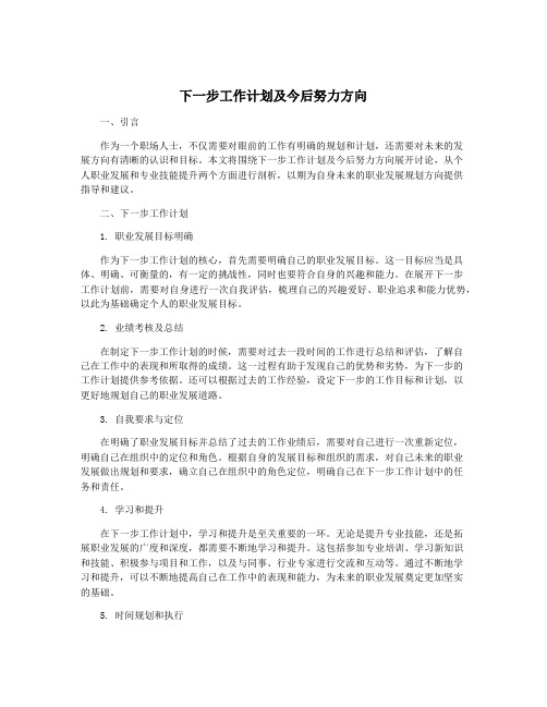 下一步工作计划及今后努力方向