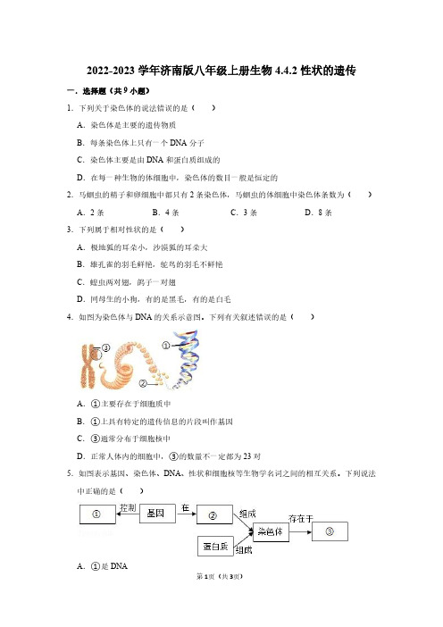 2022-2023学年济南版八年级上册生物同步练习4.4.2性状的遗传