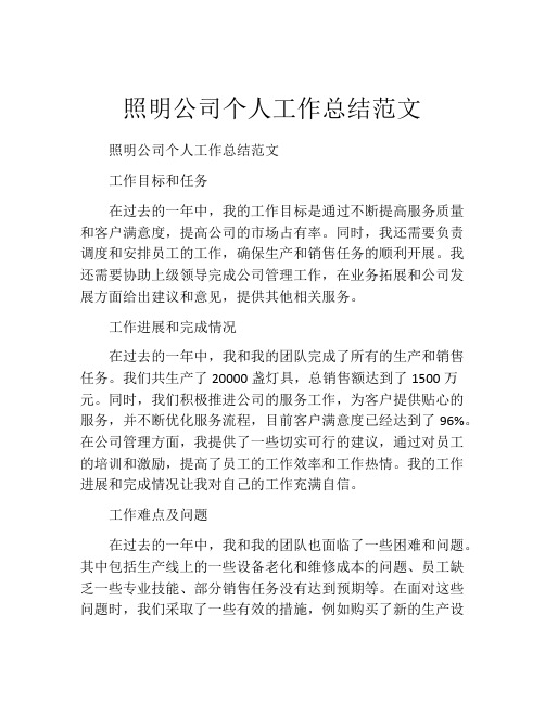 照明公司个人工作总结范文 (2)